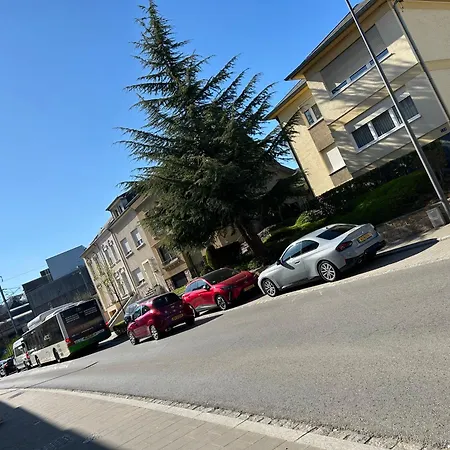 Капсульный отель Chez Zhang